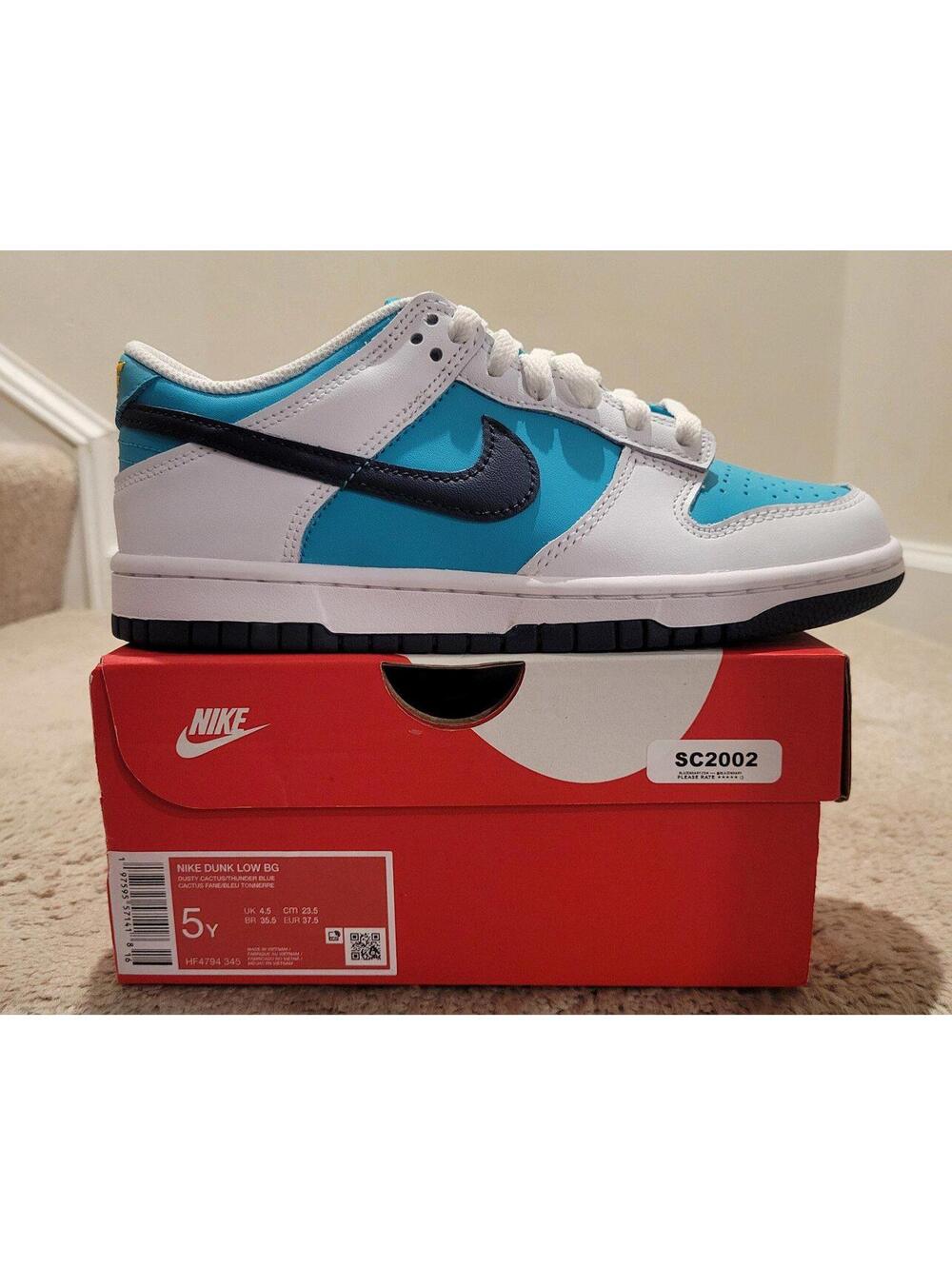 Nike Dunk Low BG Dusty Cactus Hf4794-345 Size 5y/6.5w